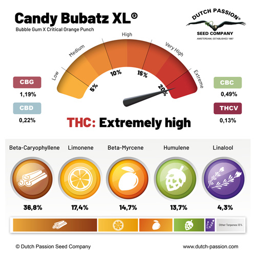 Candy Bubatz XL terpenes